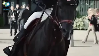 Клип про лошадей [только вперёд]