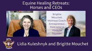 Equine Healing Retreats Horses and CEOs