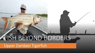 Upper Zambezi Tigerfish