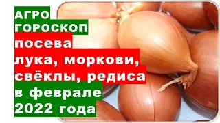 Агрогороскоп посева лука на рассаду, посевов моркови, свёклы, сельдерея и редиса в феврале 2022 года