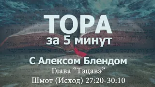 Тора за 5 минут с Алексом Блендом - Отрывок "Тэцавэ"