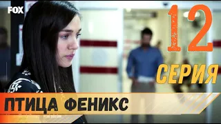 Птица Феникс 12 серия русская озвучка турецкий сериал (фрагмент №1)