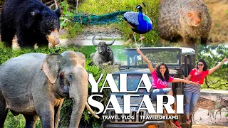 Yala Safari | Official Trailer | Sri Lanka | Travel Dreams | Travel Vlog #4 | Coming Soon