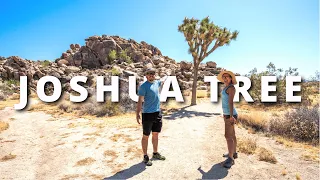 See the Most Incredible Hikes in Joshua Tree - in Just 1 Day!