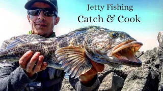 Rock Fishing On A Jetty, Lingcod Catch & Cook