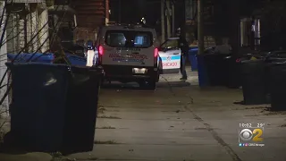 Girl, 13, Mauled By Pit Bulls In West Englewood