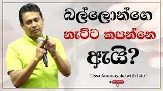 බල්ලොන්ගෙ නැට්ට කපන්නෙ ඇයි? | Tissa Jananayake with Life  (EP 120)