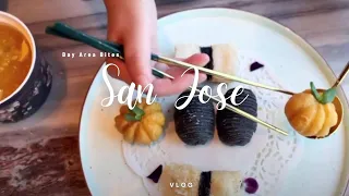 [San Jose vlog] Bay Area Bites: Eating My Way Through San Jose #foodvlog #vlogger #sjvlogs #vlogger