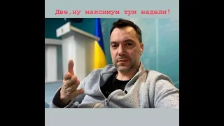 Двэ, максымум тры нэдэли... Сколько  ждать результата от занятий Хаду.