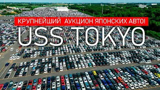 Один день на USS TOKYO❗️КРУПНЕЙШИЙ В МИРЕ АУКЦИОН АВТО ИЗ ЯПОНИИ❗️Купили сами TLC PRADO