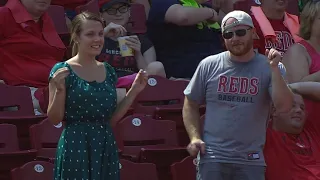 MLB HILARIOUS Fan Moments