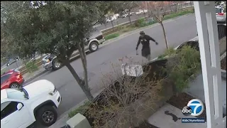 Hatchet-wielding homeless man terrorizes LA neighborhood