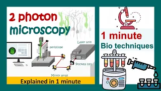 2 Photon microscopy | biotechniques in 1 minute