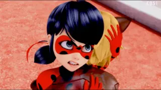 Ladybug + ChatNoir