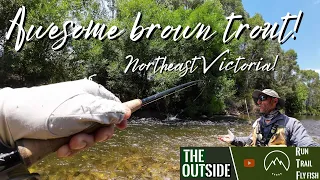 Northeast Victorian streams!  AWESOME brown trout - Dry fly and nymphing.
