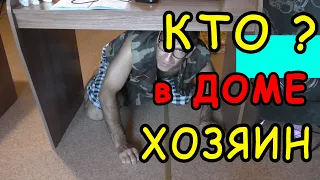 Дай ДЕНЬГИ или Кто в Доме ХОЗЯИН ? 👍