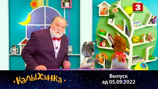 КАЛЫХАНКА | Адшукаць сваё месца – 05.09.2022