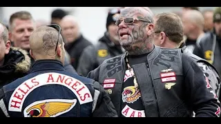 Hell's angels contre Bandidos - La guerre des gangs