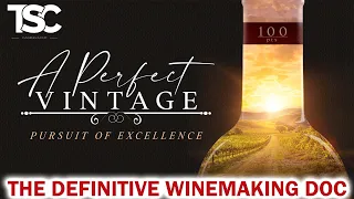 A Perfect Vintage Documentary: Winemaking Explained by Troy Christian