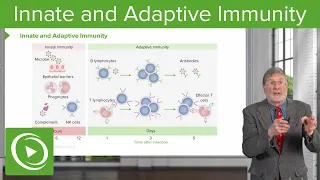 Innate and Adaptive Immunity | Cellular Pathology