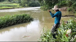 As traíras gigantes estavam atacando bem na entrada da sanga!!!