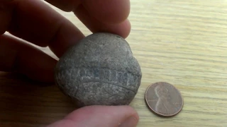 Roseau Stone artifact or geofact?