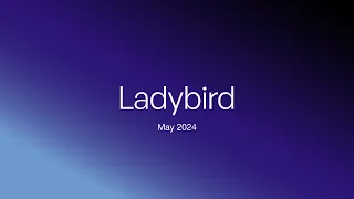 Ladybird browser update (May 2024)