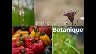 Introduction à la botanique - Introduction