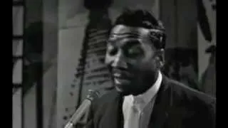 Muddy Waters - Got My Mojo Working