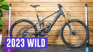 Is the 2023 Orbea Wild the Benchmark EMTB?
