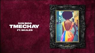 DON BIGG - Tmechay (Ft. Skales) | Official Lyric Video (Clean Version)