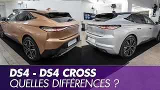 DS4 - DS4 Cross : quelles différences ?