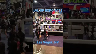 LVL UP EXPO 2023! #retrogaming #comics #anime #comiccon