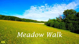 Spring Meadow Walk | 4K | ASMR | Nature Hike | Forest Trail | Virtual Walking | Pure Sound | Slow TV