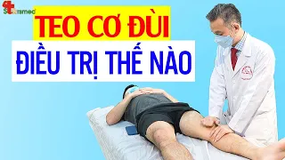 Teo cơ đùi - Điều trị và chăm sóc thế nào? | Y học Thể thao Starsmec