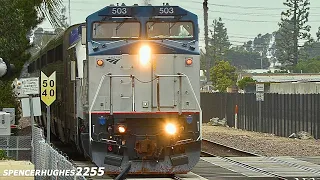 Amtrak 503! + Trains in Southern California! (Spring 2024)