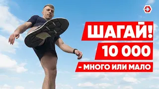 Почему 10 ТЫСЯЧ? Ходьба | НОРМА ШАГОВ для стройности и здоровья