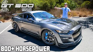 All-New 800HP Shelby GT500 Signature Edition First Drive & POV! Worth the price?