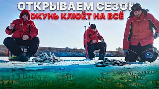 ОТКРЫВАЕМ СЕЗОН. ОКУНЬ КЛЮЁТ НА ВСЁ