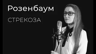 Розенбаум - Стрекоза | Кавер на гитаре | Ксюша Карелина & Михаил Карелин