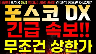 [포스코DX] 8/28 (월) 긴급 속보! "다음주 무조건 상한가!"