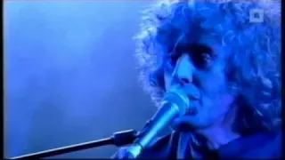 Angelo Branduardi   Il Dono Del Cervo Live 1976