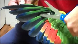 How to Clip Your Parrot Wings (2.0) Perfectly - Every Time!!!