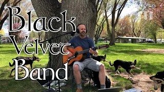 Black Velvet Band (Traditional Irish Folk Song w/ Lyrics)