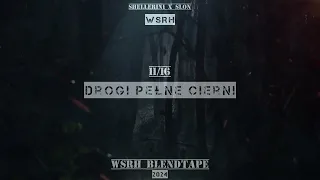 [11/16] WSRH - Drogi pełne cierni | Madness Blend (WSRH Blendtape 2024)