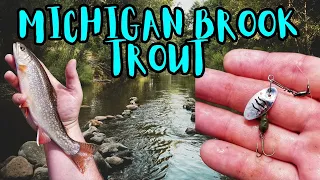 Brook Trout Fishing In Michigan - Catch & Cook