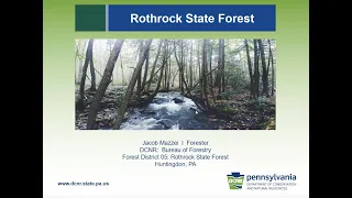 SPF "Get to Know Your Forest" Series: Rothrock SF