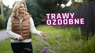 Trawy ozdobne w moim ogrodzie. Ogród we wrześniu.