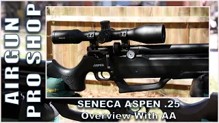 THE SENECA ASPEN .25 – OVERVIEW WITH AA