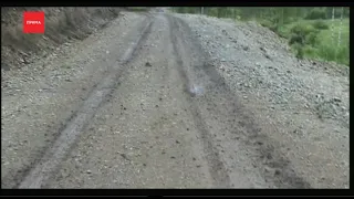 Незаконную дорогу длинной 18 километров построили лесорубы